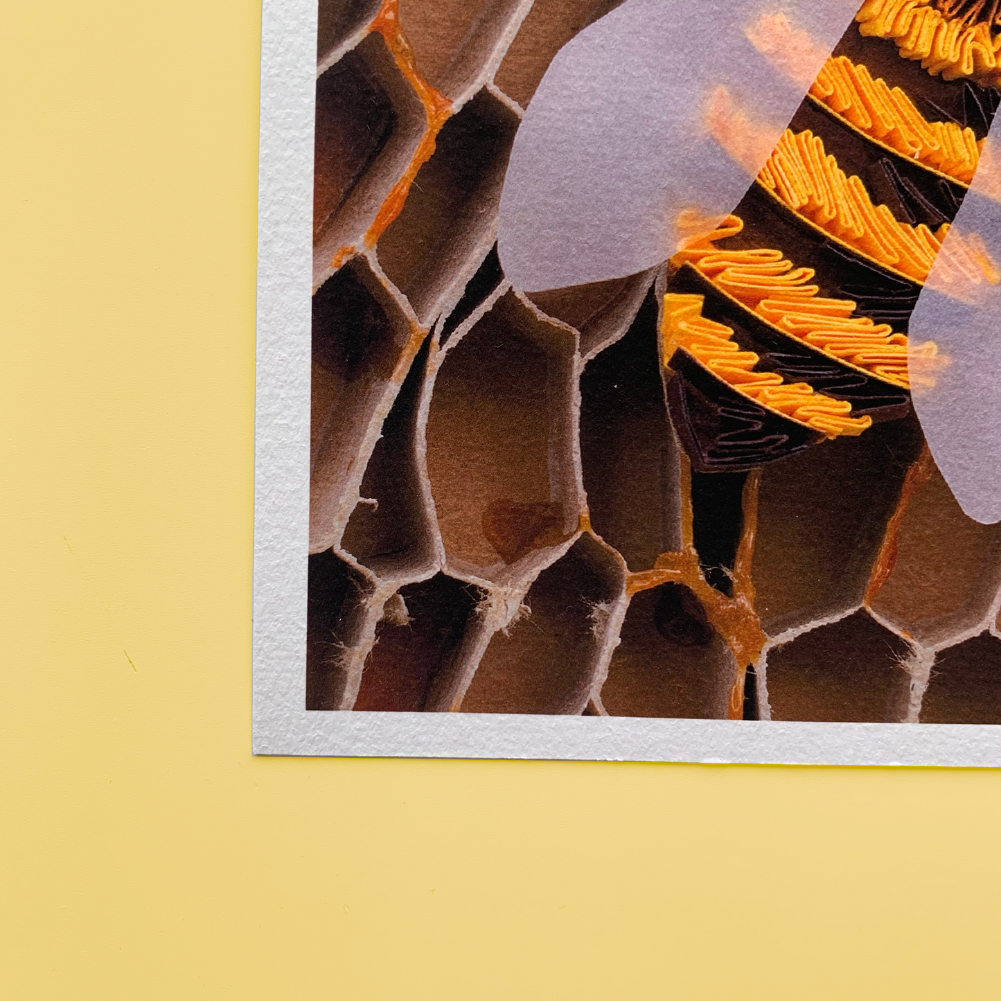 Honey bee Print