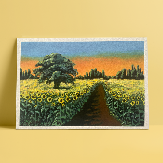 Sunflower field Print