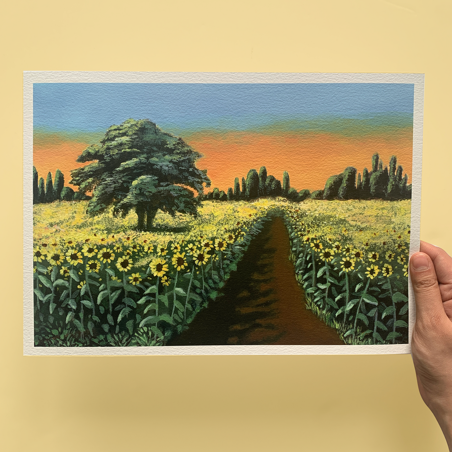 Sunflower field Print