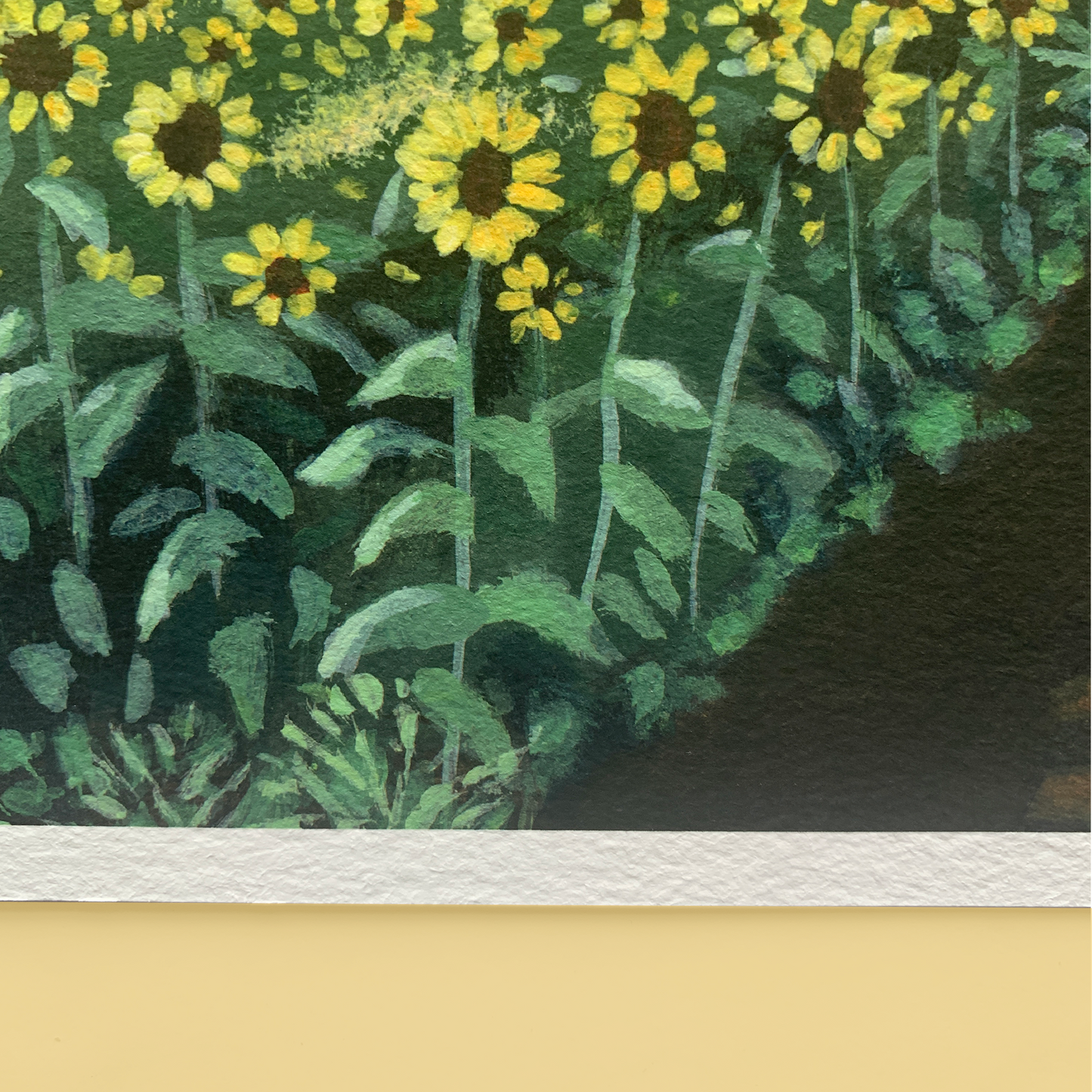 Sunflower field Print